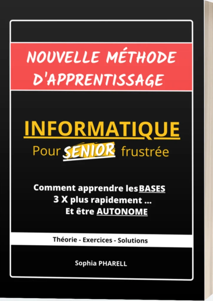 Nouvelle Méthode d&rsquo;Apprentissage Informatique Pour SENIOR Frustrée